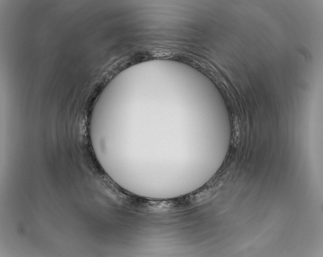 X0000112020667200908031043