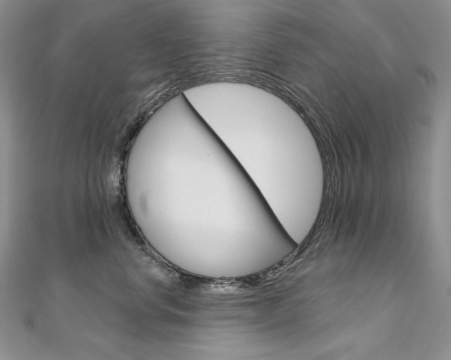 X0000112020668200908031043
