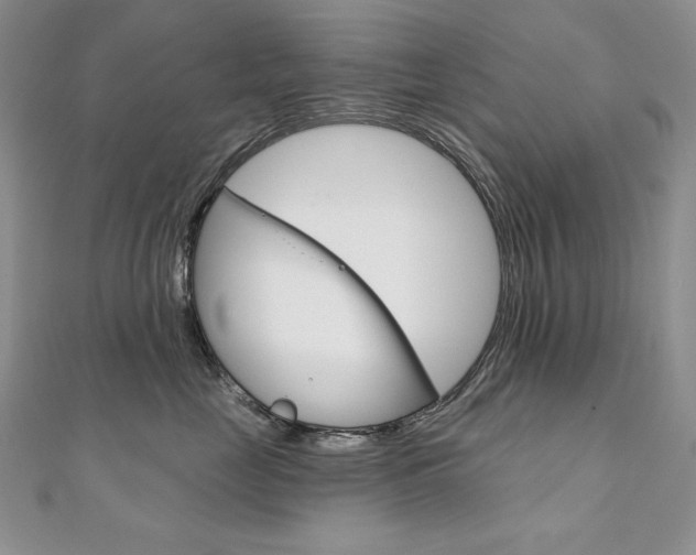 X0000112020669200908031043