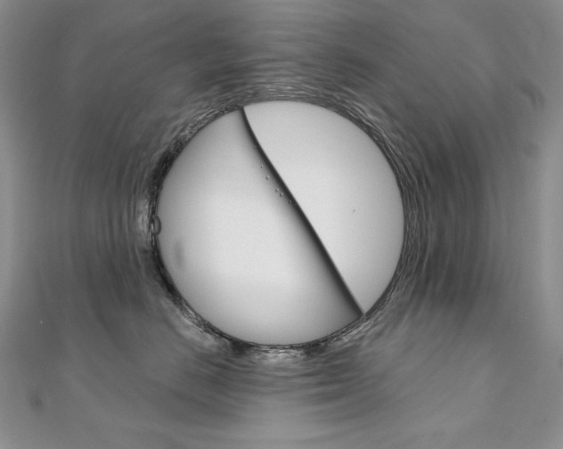 X0000112020670200908031043