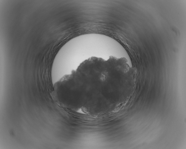 X0000112020671200908031043
