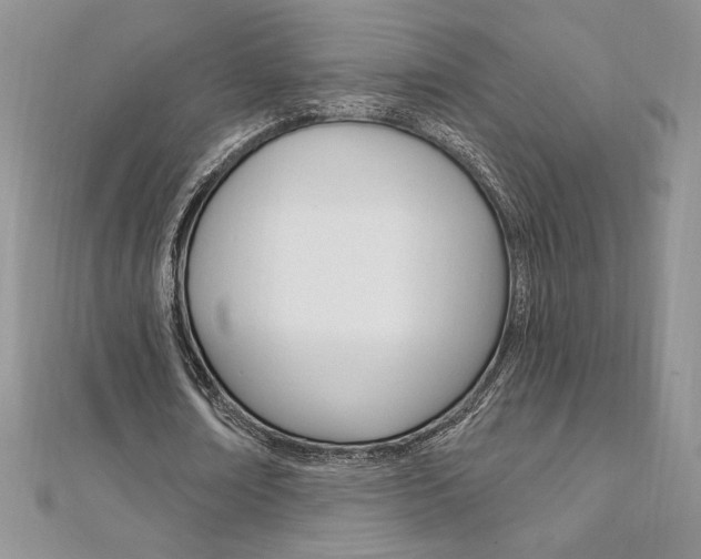 X0000112020674200908031042