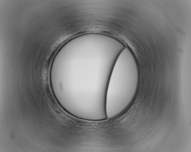 X0000112020675200908031042