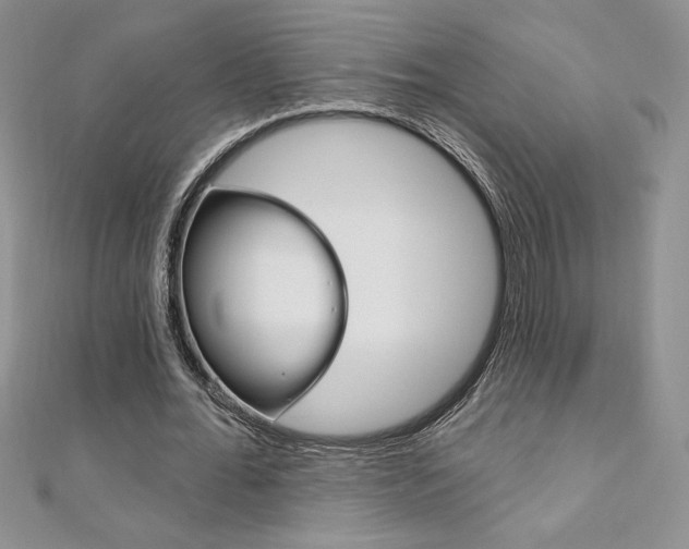 X0000112020676200908031042