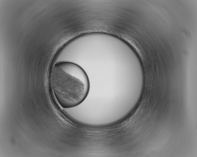 X0000112020677200908031042