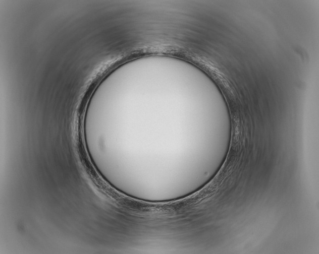 X0000112020678200908031042
