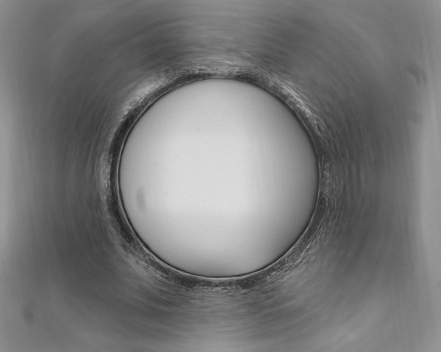 X0000112020679200908031042