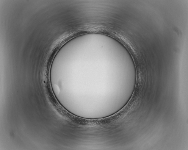 X0000112020682200908031042