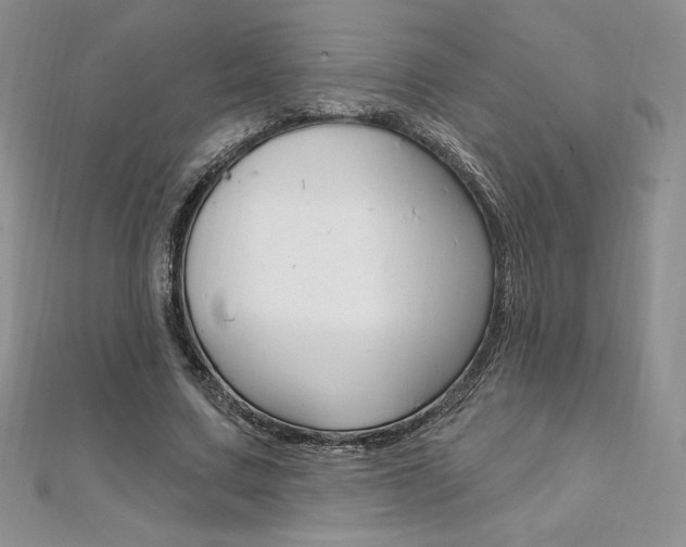 X0000112020683200908031042
