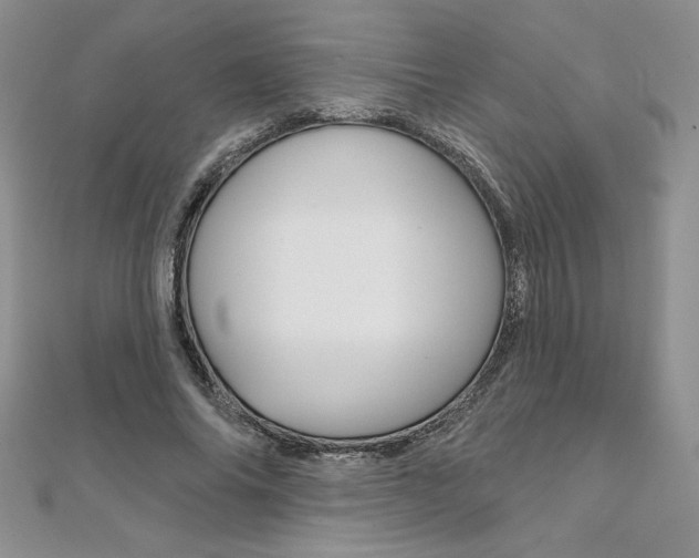 X0000112020686200908031042