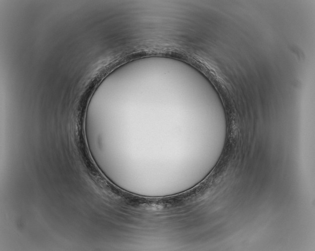 X0000112020687200908031042