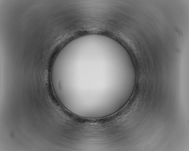 X0000112020689200908031042