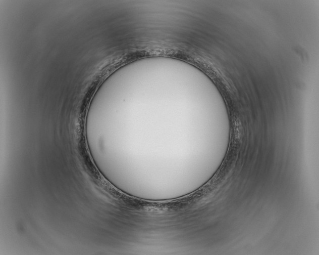 X0000112020690200908031042