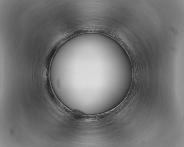 X0000112020692200908031042