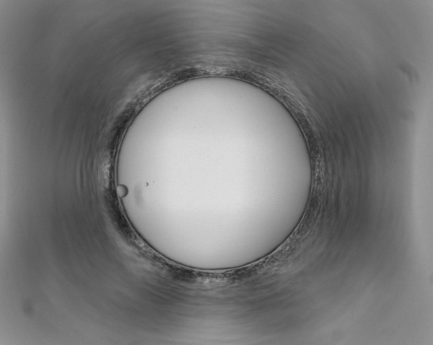 X0000112020694200908031042