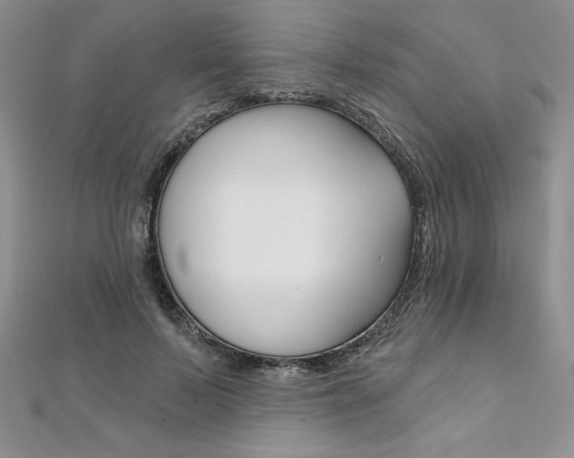 X0000112020695200908031042