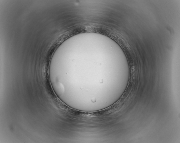X0000112020698200908031042