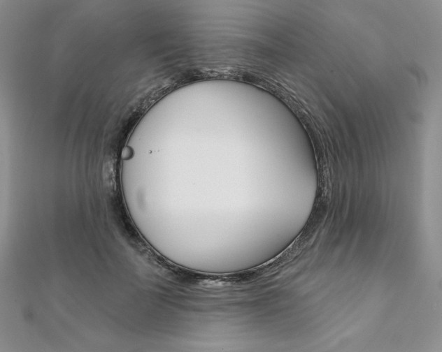 X0000112020699200908031042