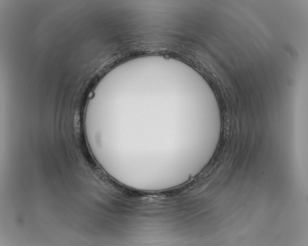 X0000112020700200908031042