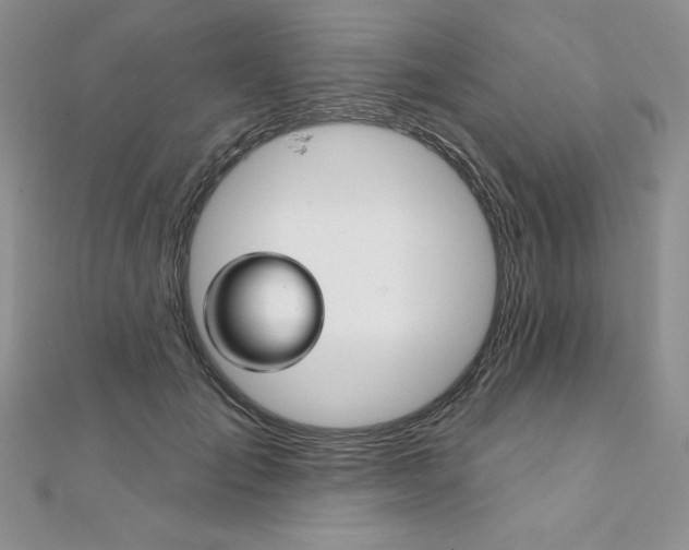 X0000112020701200908031042