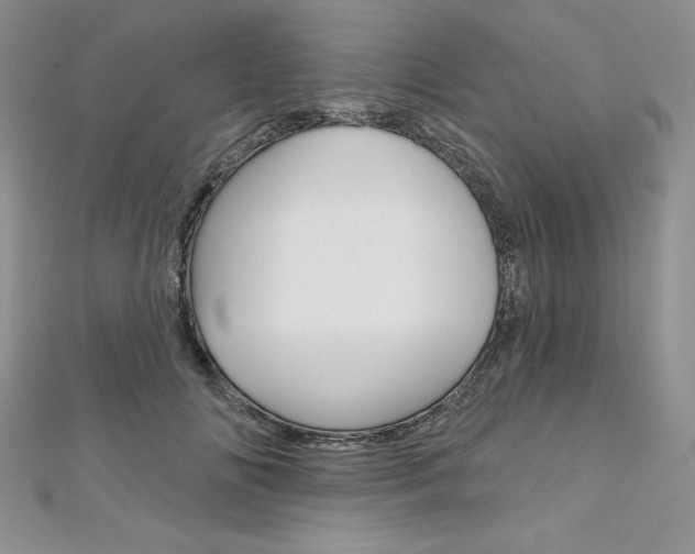 X0000112020702200908031042