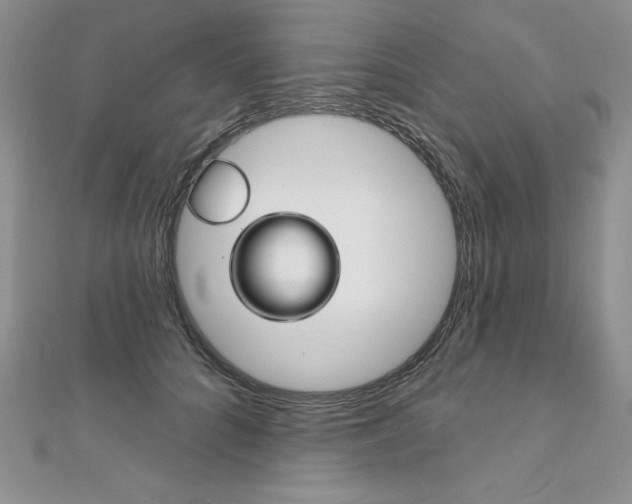X0000112020704200908031042