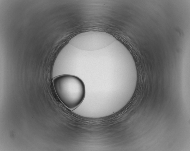 X0000112020705200908031042