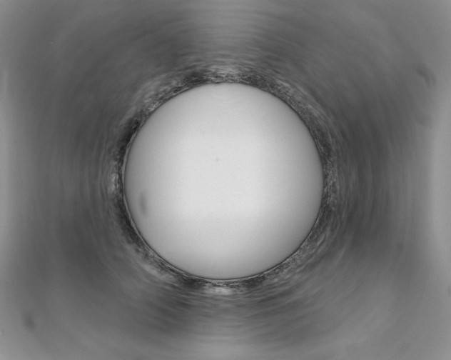 X0000112020706200908031042