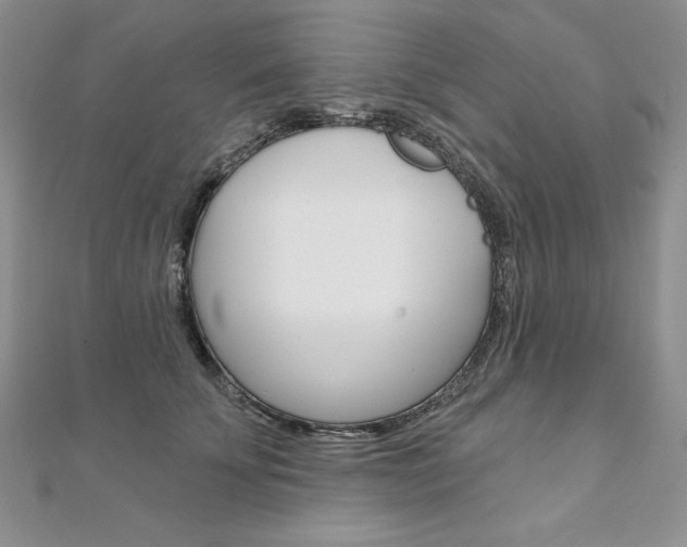 X0000112020707200908031042