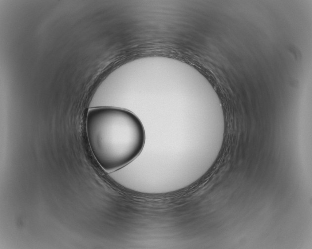 X0000112020708200908031042