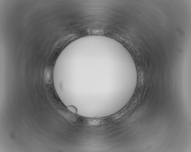X0000112020709200908031042