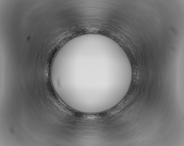 X0000112020710200908031042