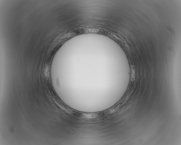 X0000112020713200908031042