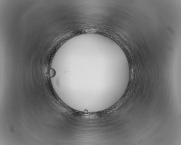 X0000112020714200908031042