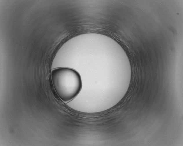 X0000112020716200908031042
