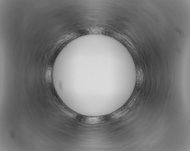 X0000112020717200908031042