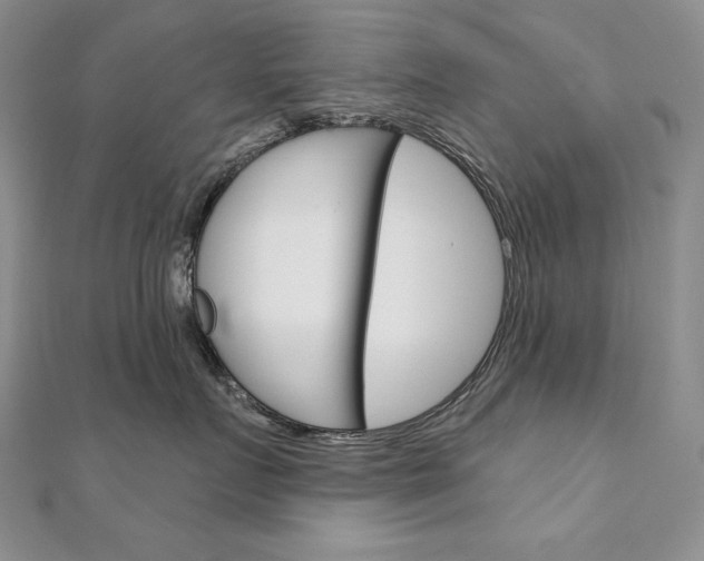 X0000112020719200908031042