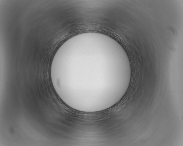 X0000112020720200908031042