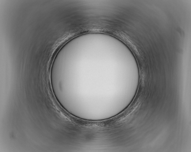 X0000112020721200908031041