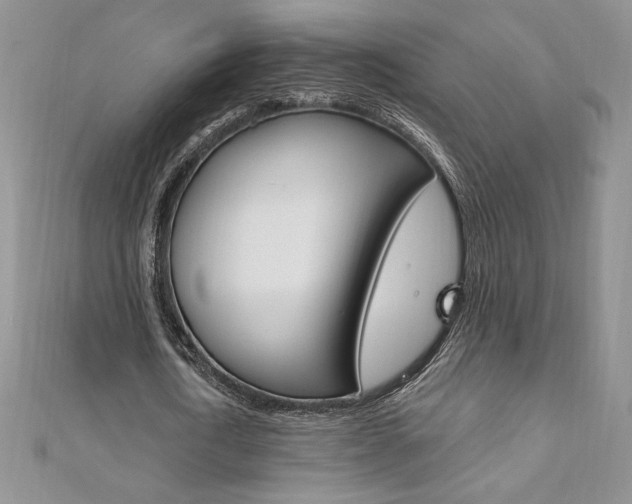 X0000112020722200908031041
