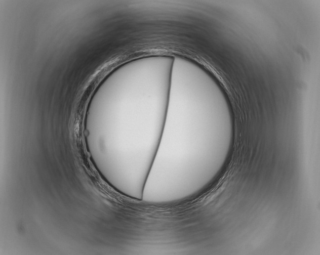 X0000112020723200908031041