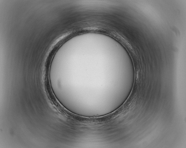 X0000112020724200908031041
