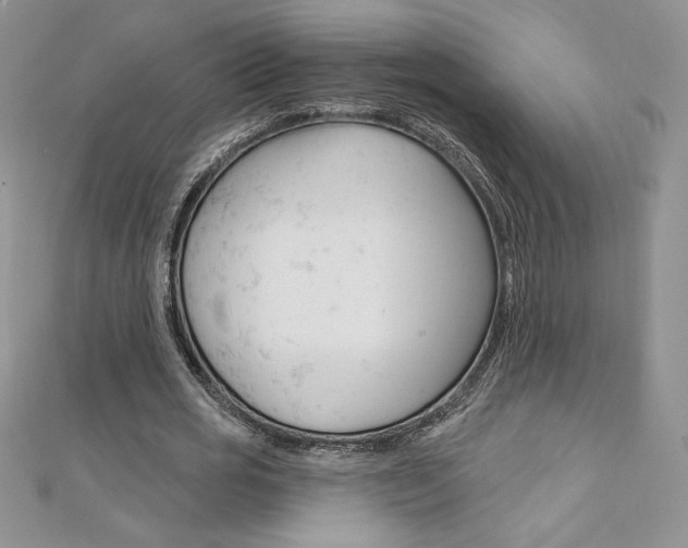 X0000112020725200908031041