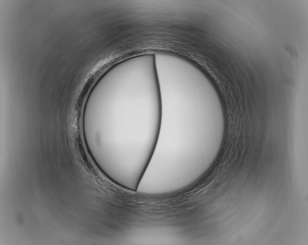X0000112020727200908031041