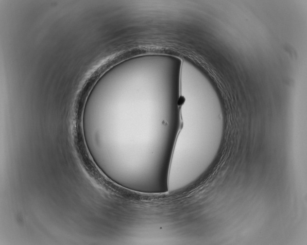 X0000112020728200908031041