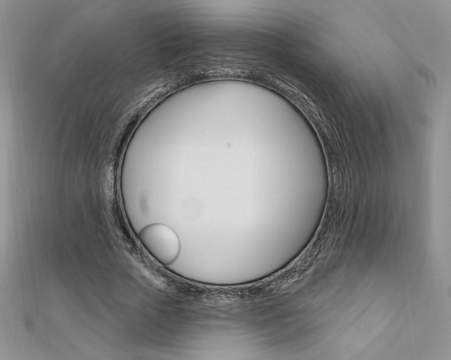 X0000112020729200908031041