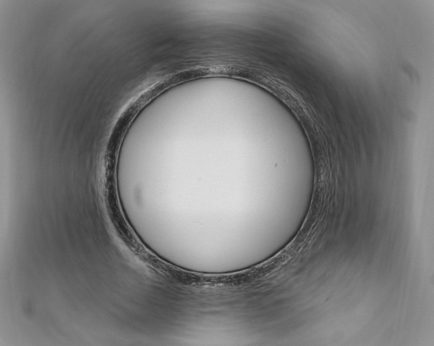X0000112020730200908031041