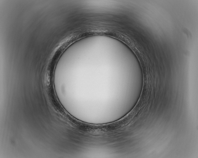 X0000112020731200908031041