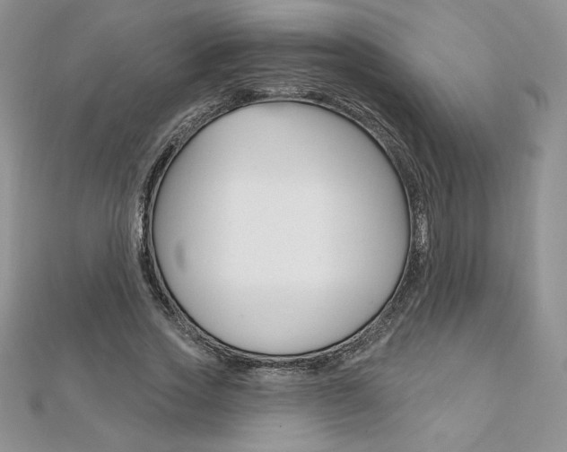 X0000112020733200908031041