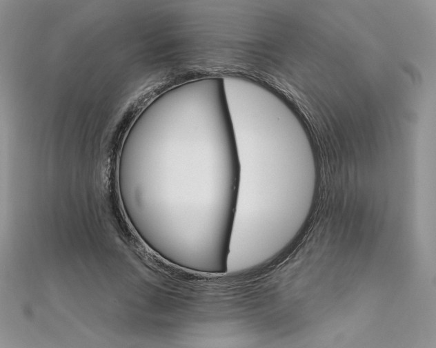 X0000112020735200908031041